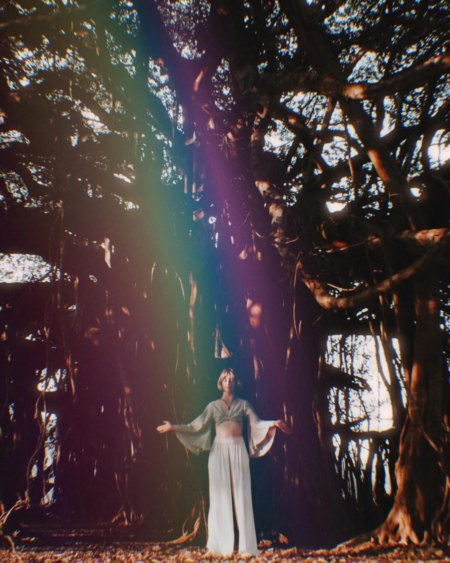 Banyan tree with rainbow light streaks